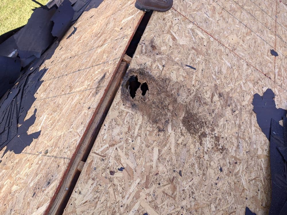 damaged roofing material showing hole and water damage on a wooden roof surface