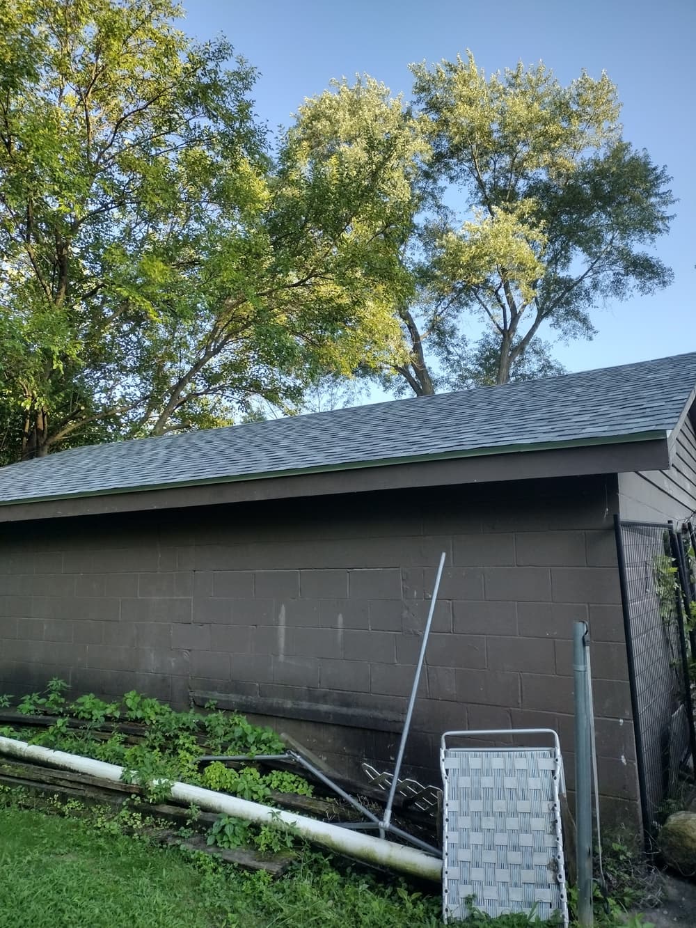 Rear view of a storage shed with green trees and overgrown plants nearby.
