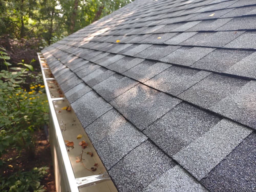 Close-up of a gray shingle roof with autumn leaves and gutter visible, surrounded by greenery.