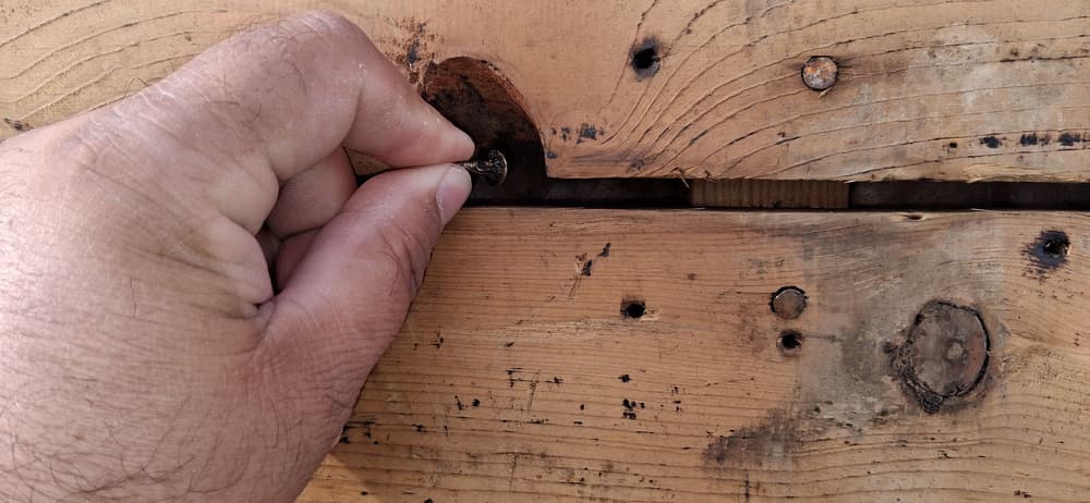 Hand inserting a screw into a wooden surface with visible knots and grain texture.